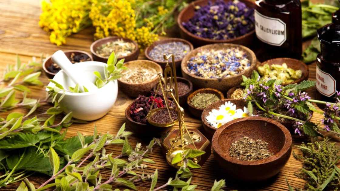 Ojas Explained: Your Adult Body's Hidden Superpower