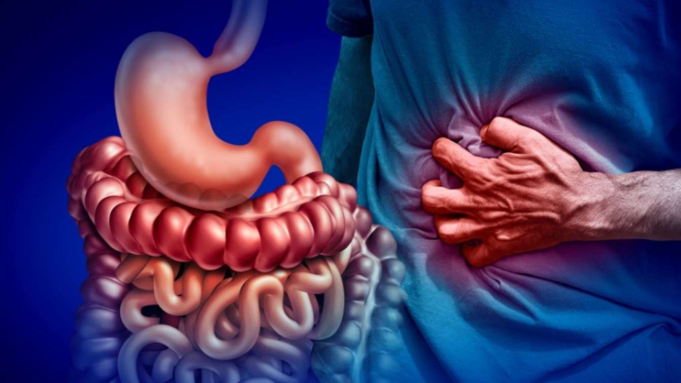 Why Gut Health Matters in Our Daily Lives